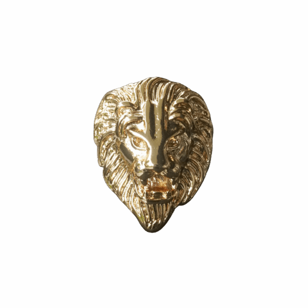 anello-lions-sf