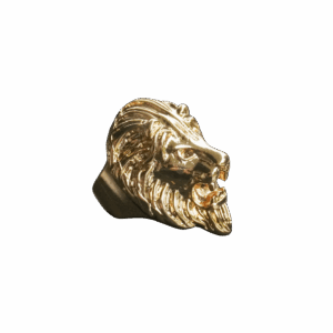 anello-lions-sf