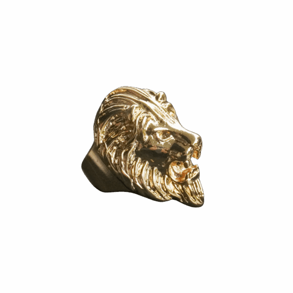 anello-lions-sf