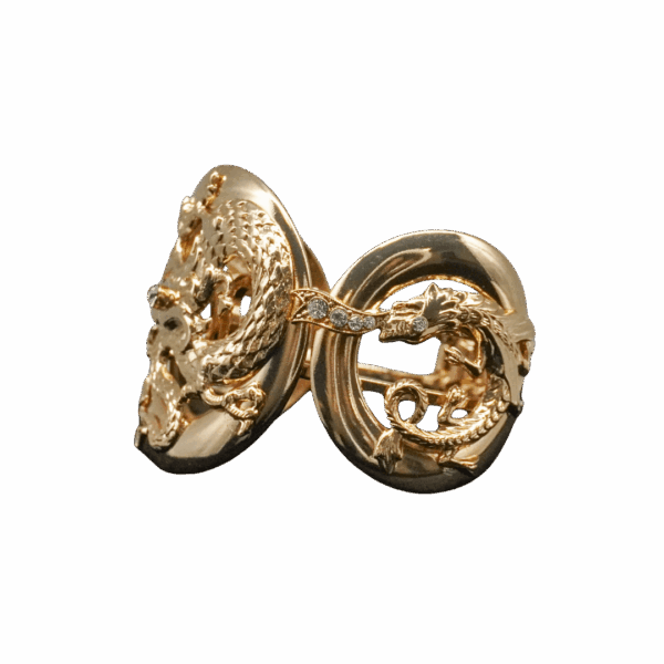 bracciale-draghi-scatto