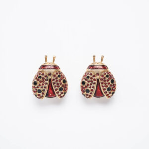Orecchini-Ladybug